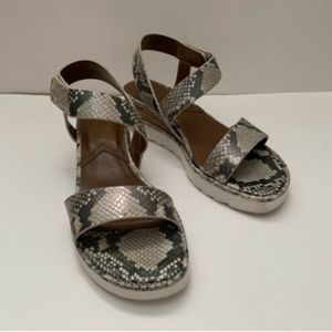 Franco Sarto Chiara Platform Sandal, Women's Size 8M Snake Print